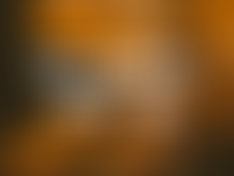 NC DROPS: NOVEMBER 2022