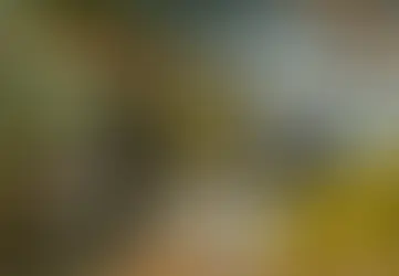Algunas Consideraciones de Oferta y Demanda del PIB del Segundo Trimestre en Colombia *