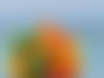 Consideraciones en Torno a las Metas Económicas como la Inflación.*