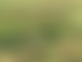 An Overview of Land Use in Livestock and Agriculture in Colombia.