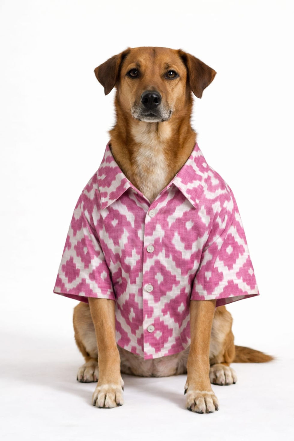 Thumbnail: Breathable Cotton Dog Shirt – Soft & Comfortable Everyday Wear