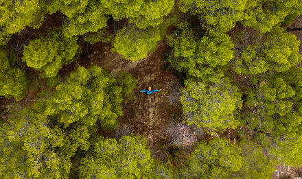 DJI_0135.jpg
