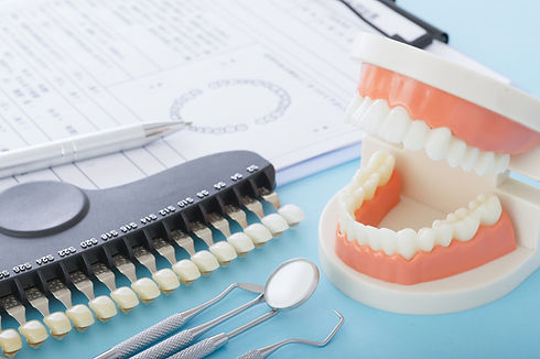 歯の模型と治療説明