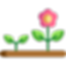 flower (2).png