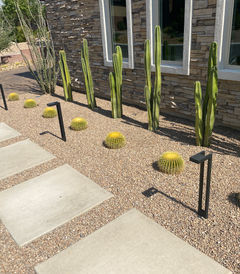 Modern desert landscaping: pathway lights, cacti