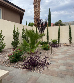 Landscaped backyard with stone pavers