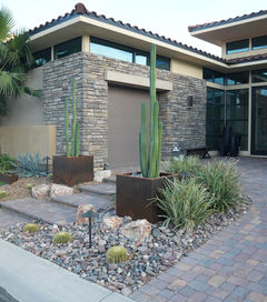 Modern home featuring desert landscaping with cacti