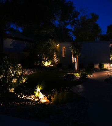 Nighttime landscape lighting illuminating pathway and garden foliage