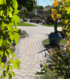 Curving paver walkway featured in a custom landscaping design