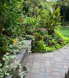 Lush garden with stone paver pathway