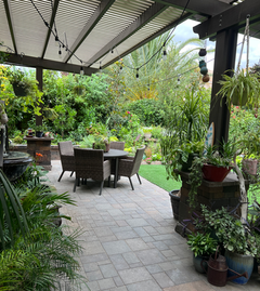 Lush garden patio featuring pavers and a pergola