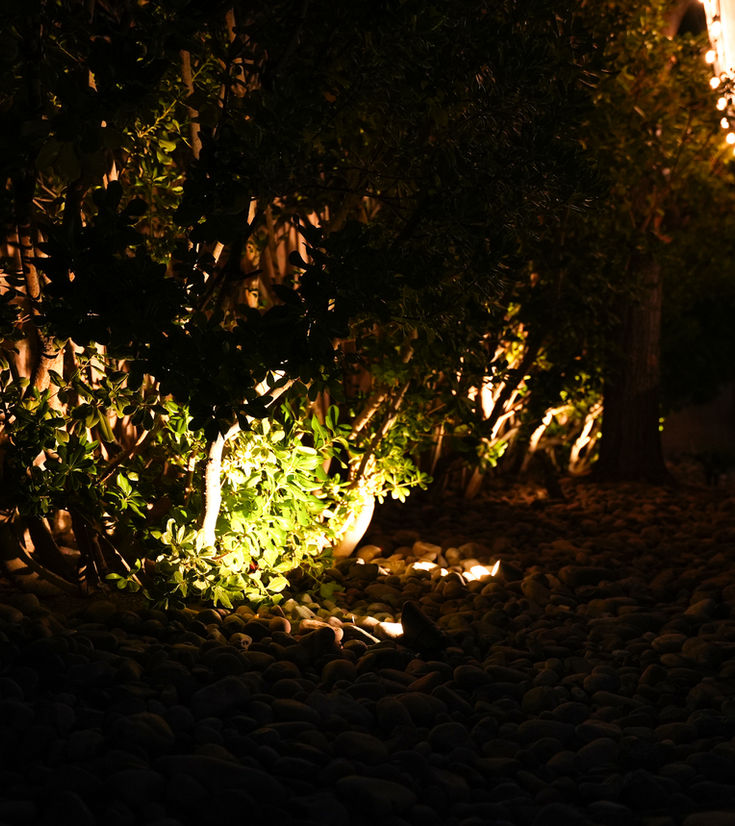 Nighttime landscape lighting softly illuminating garden shrubs