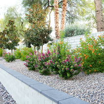 Landscaped Desert Garden with Retaining Wall