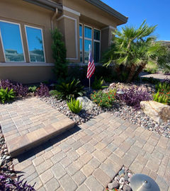 Modern Las Vegas home with drought-tolerant front entry landscaping