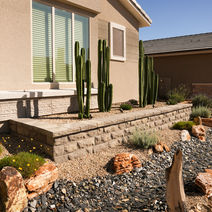 Desert landscaping with various cacti and natural stone accents.