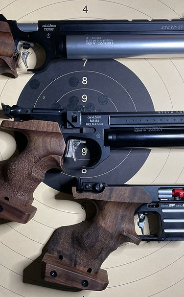 Abbildung der FFTir-Wettkampf für das Schießen mit Schusswaffen (Pistole und Gewehr)