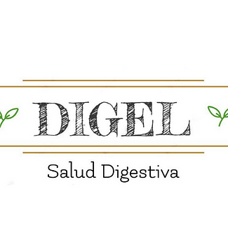 Digel logo.png