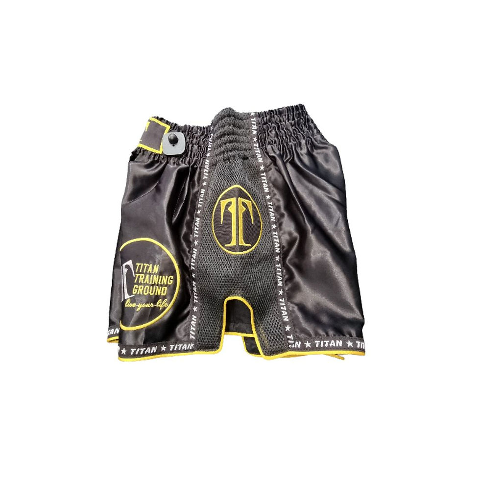 Thumbnail: TitanTG Dynamic Muay Thai Shorts Black and Gold