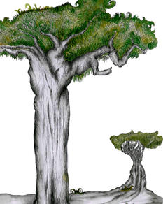 The Slithy toves from The Jabberwocky