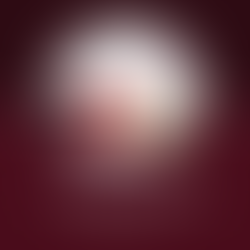 🍷 National Wine Day