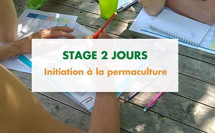 Stage 2 jrs initiation perma.png