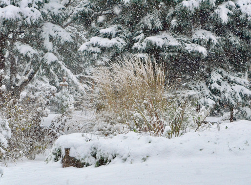 A Snowy October Day