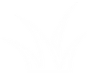 Grassicon.png
