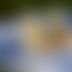 Fatal Glitch: Beta Revisions