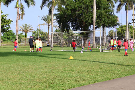 Robert King High Park