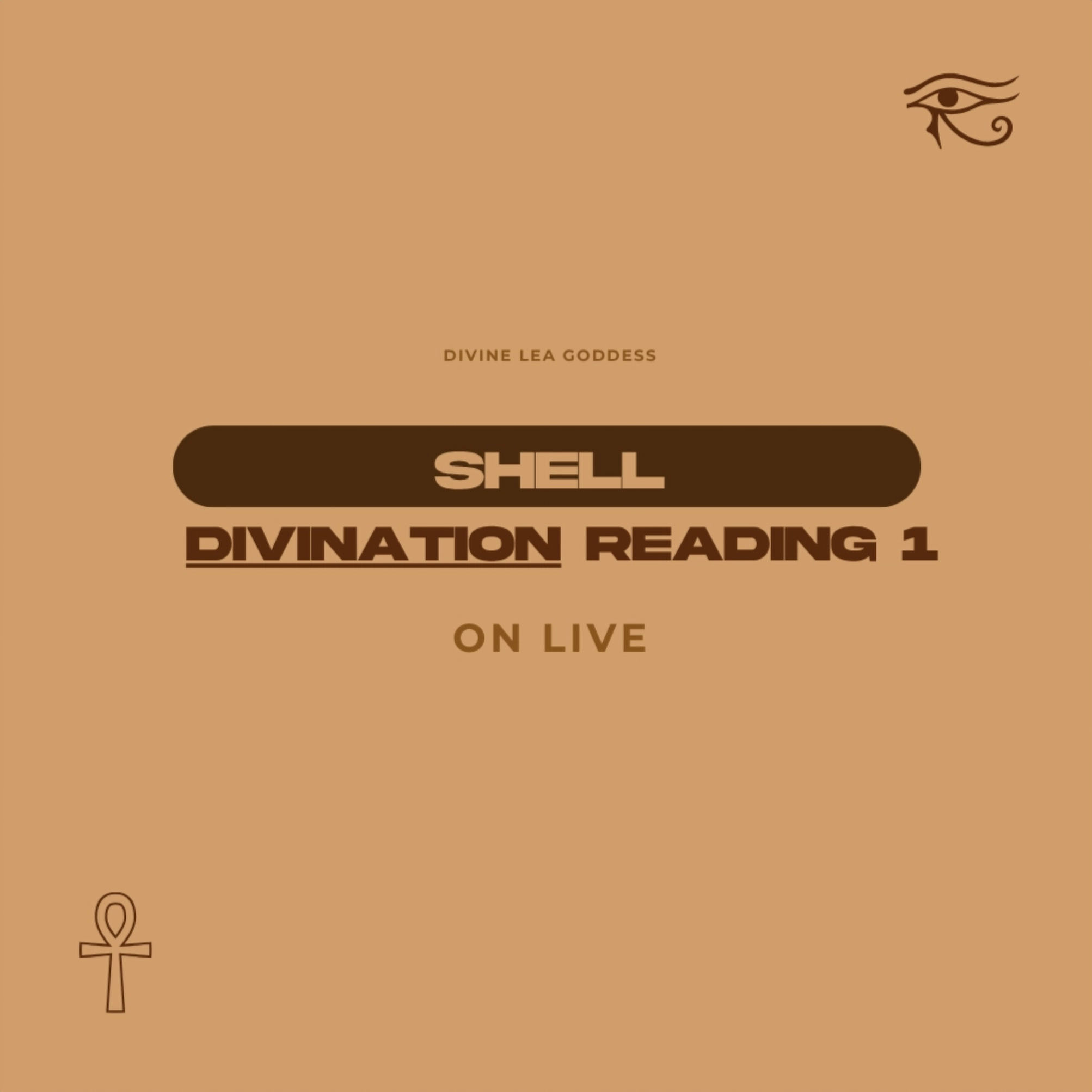 Shell Divination 1 Question (yes or no)