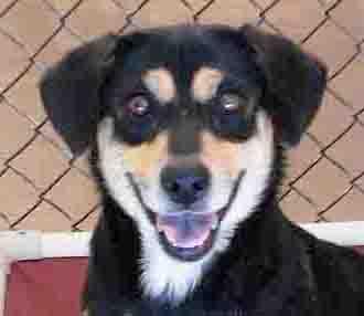 Princess Leia - ADOPTED!
