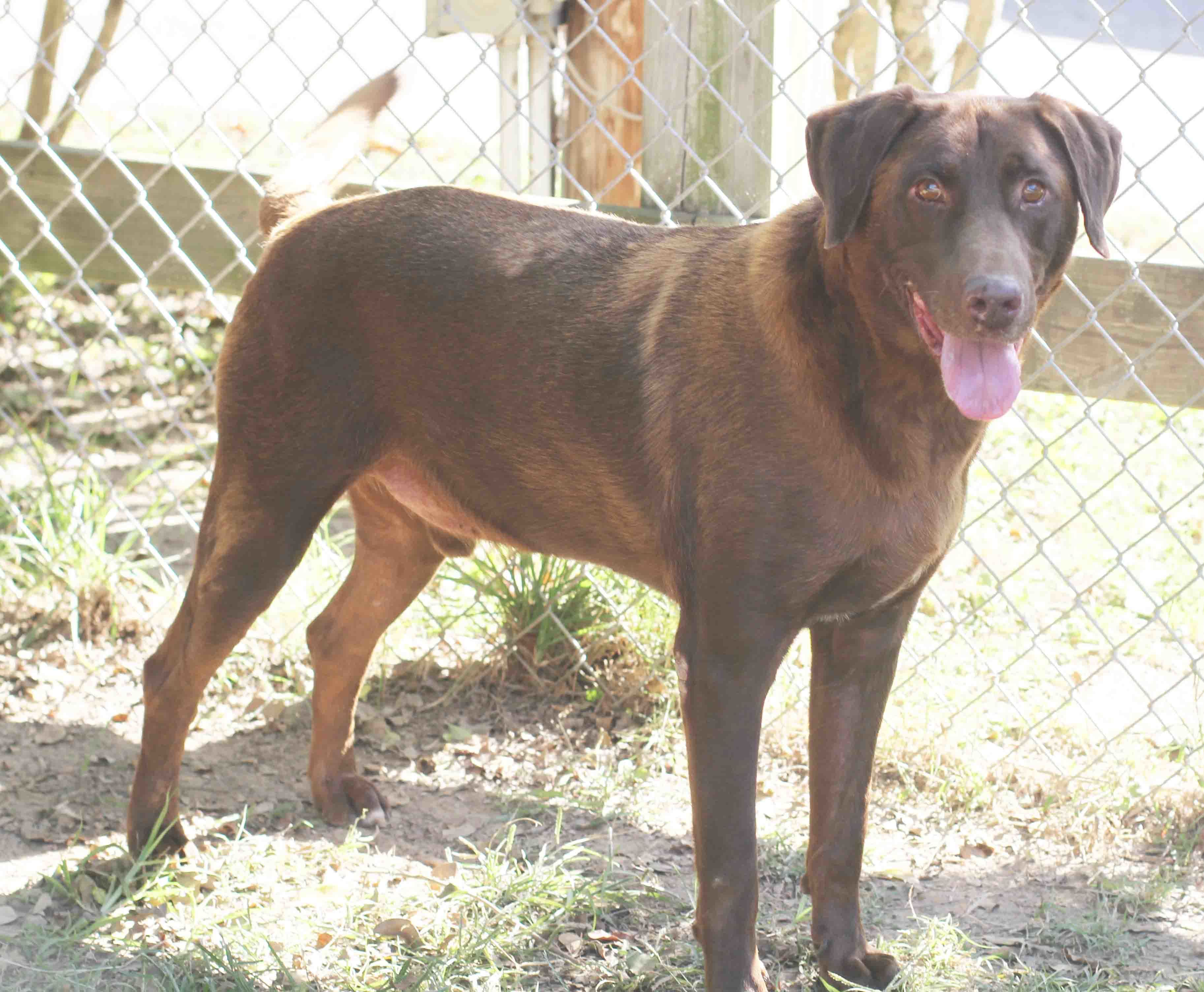 JD - ADOPTED!