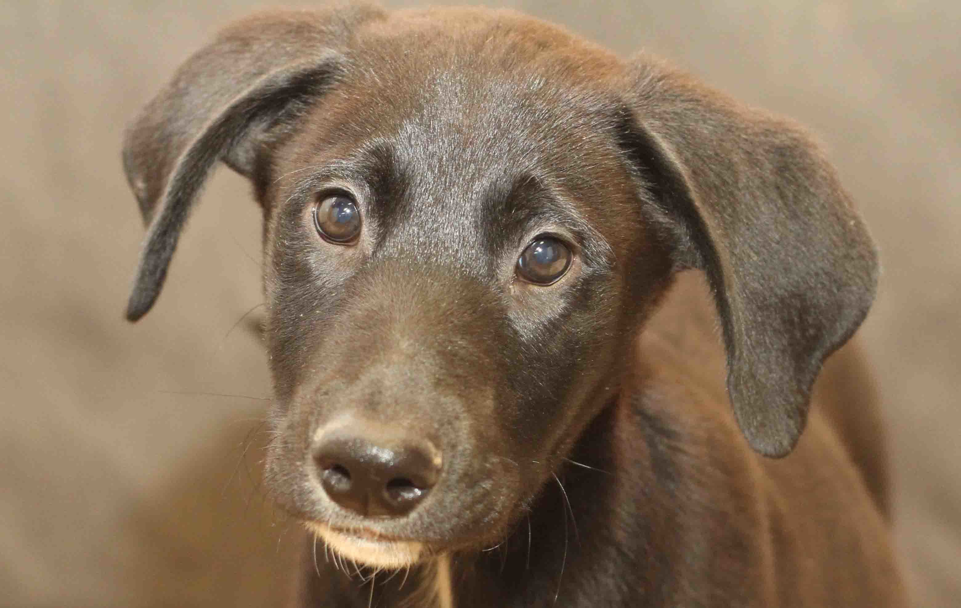 Banks - ADOPTED!