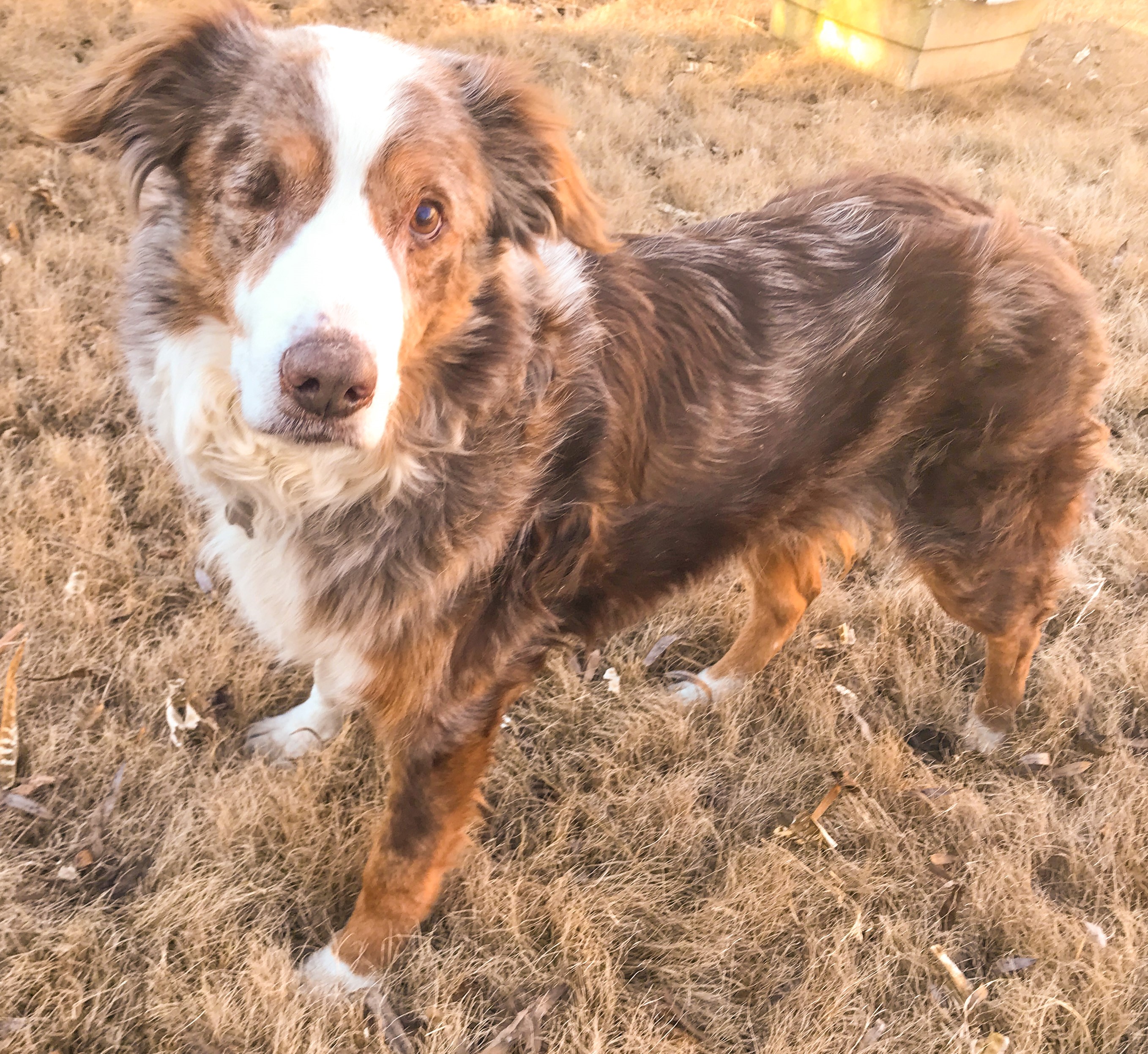 Highway - ADOPTED!
