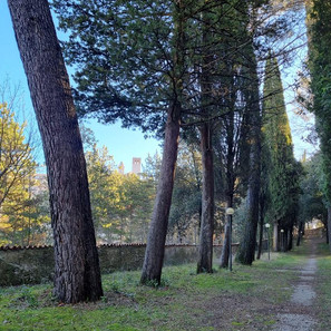 Carmelitani (1) (Copy).jpeg