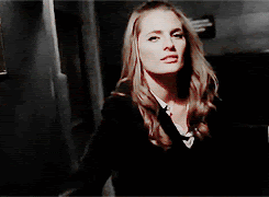 gif15.gif