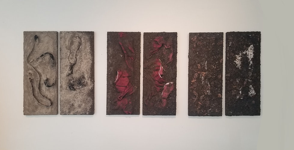 Ecdysis Series_Dylan Coppola.jpeg