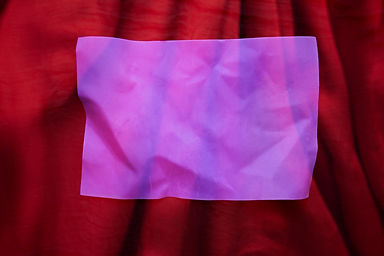 DSC_2199a.jpg