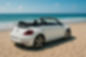 1000054589_80c113c2e574acc690ce921ba060141d-06_05_2025 21_41_50 (1).png