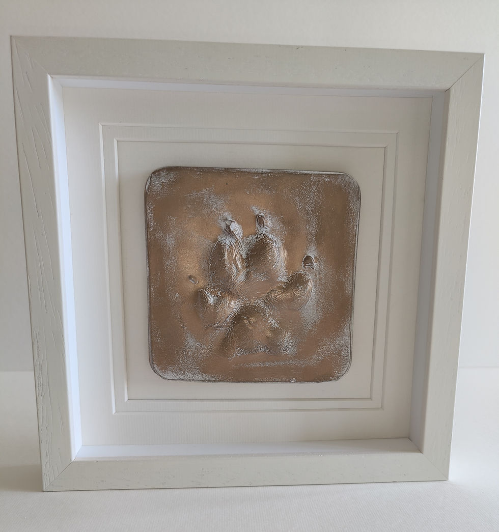 Thumbnail: Framed paw prints