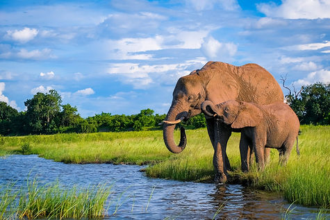 Botswana-22-1-scaled.jpg