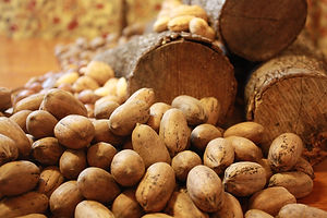 pecans-1964088_1920.jpg