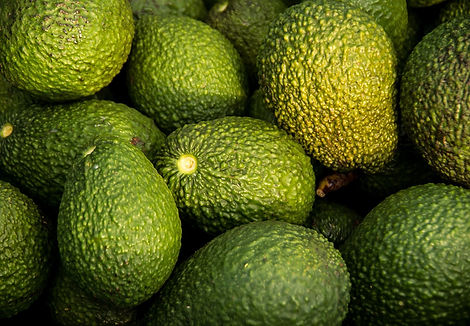 avocados-882635_1920.jpg