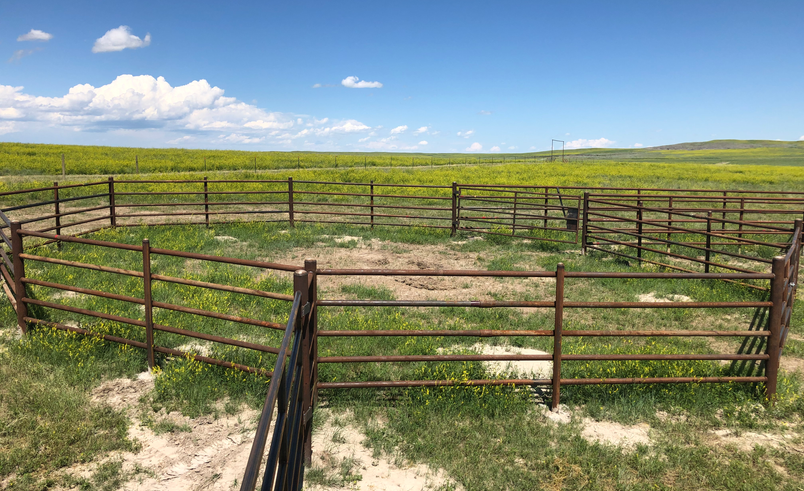 Round Pen
