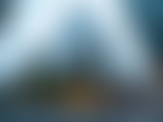 Explore Ottawa Financial Services with Feller Financial Services LLC