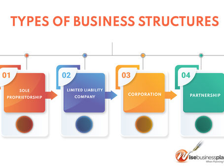 Choosing a Business Structure in Kansas: LLC, S-Corp, or Sole Proprietor—which is right for you?
