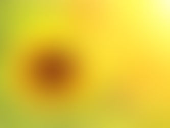 Your Best Hire Might Be in Kansas: Why Going Remote Makes Sense for Your Accounting & Bookkeeping Needs