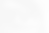 Auge_white.png