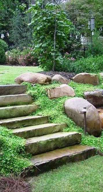 back yard 2.jpg