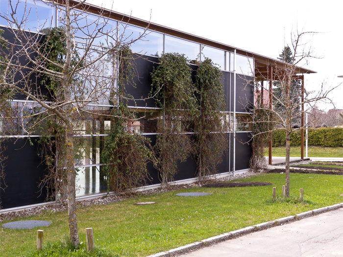 BV WEIGHEIM - BILD 9